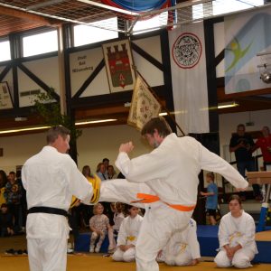 Trainingsvorführung Ju Jutsu