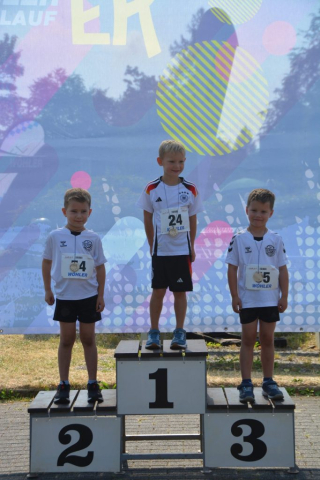Sieger U8